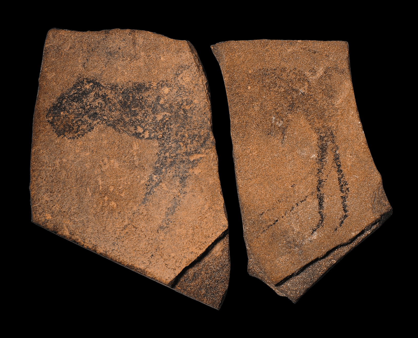 Where is the oldest rock art?