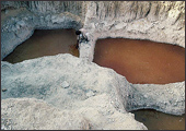 Tuareg Salt Caravans Niger Africa