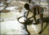 Tuareg Salt Caravans Niger Africa