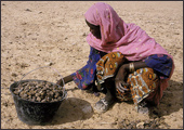 Tuareg Salt Caravans Niger Africa