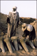 Tuareg Salt Caravans Niger Africa
