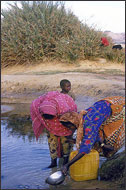 Tuareg Salt Caravans Niger Africa