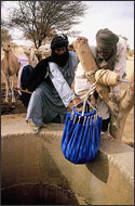 Tuareg Salt Caravans Niger Africa