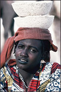 Tuareg Salt Caravans Niger Africa