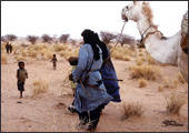 Tuareg Salt Caravans Niger Africa