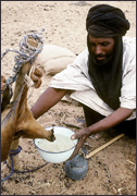 Tuareg Salt Caravans Niger Africa
