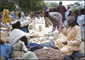 Tuareg Salt Caravans Niger Africa