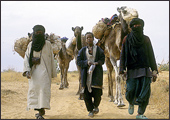 Tuareg Salt Caravans Niger Africa