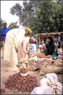 Tuareg Salt Caravans Niger Africa