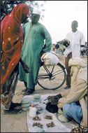 Tuareg Salt Caravans Niger Africa