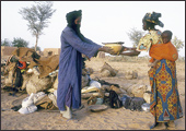 Tuareg Salt Caravans Niger Africa
