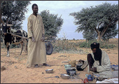 Tuareg Salt Caravans Niger Africa