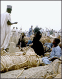 Tuareg Salt Caravans Niger Africa