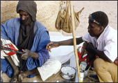 Tuareg Salt Caravans Niger Africa