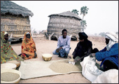 Tuareg Salt Caravans Niger Africa