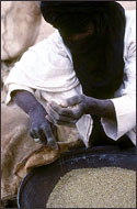 Tuareg Salt Caravans Niger Africa