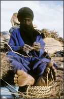 Tuareg Salt Caravans Niger Africa