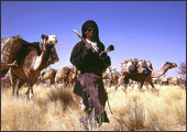 Tuareg Salt Caravans Niger Africa