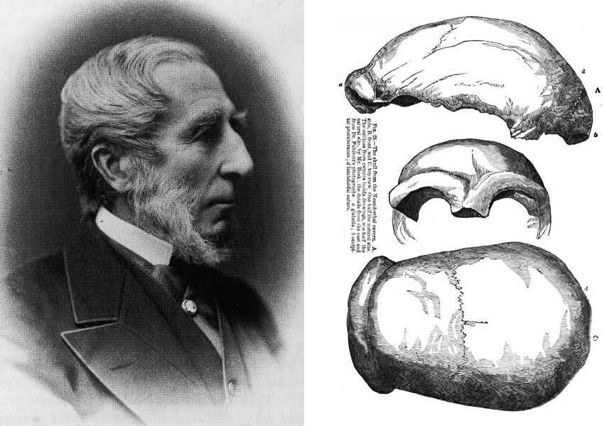 George Busk and Neanderthal artefacts
