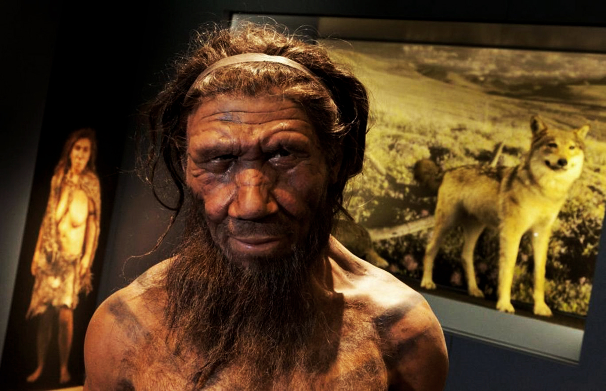 Neanderthal use of medicinal plants