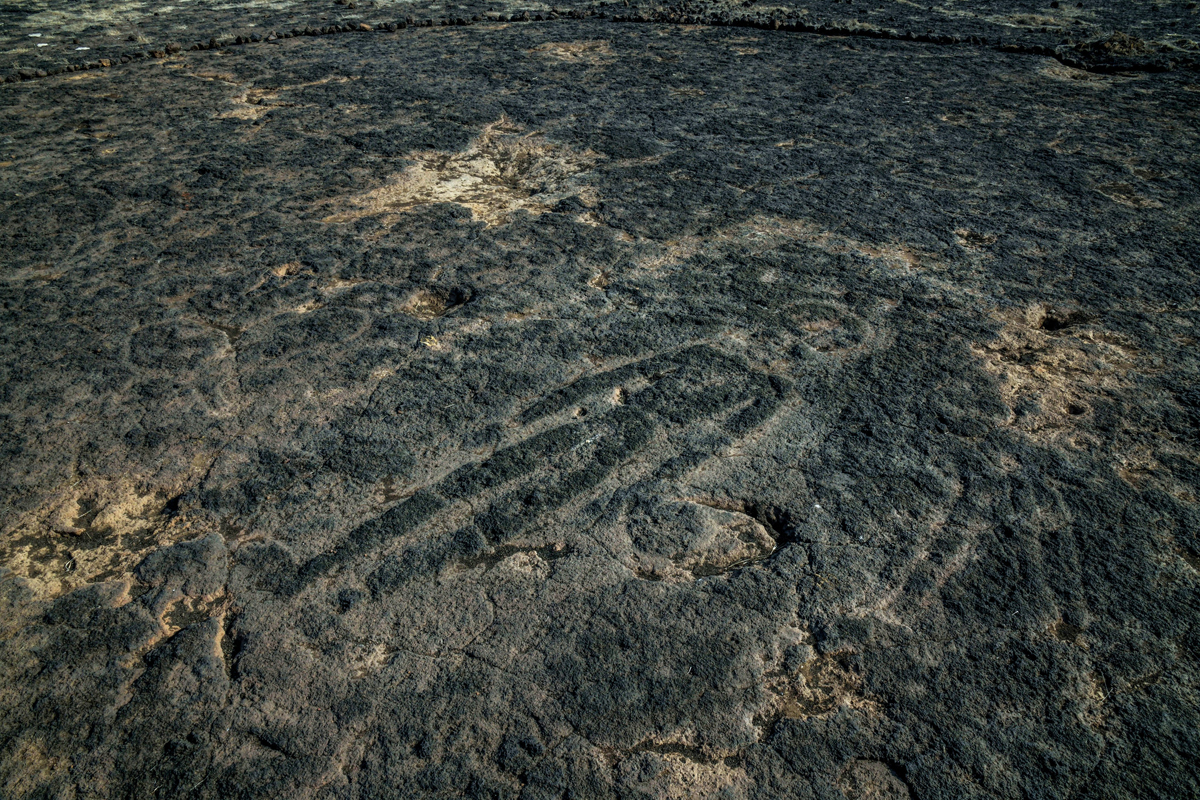 Extensive rock art revealed in India