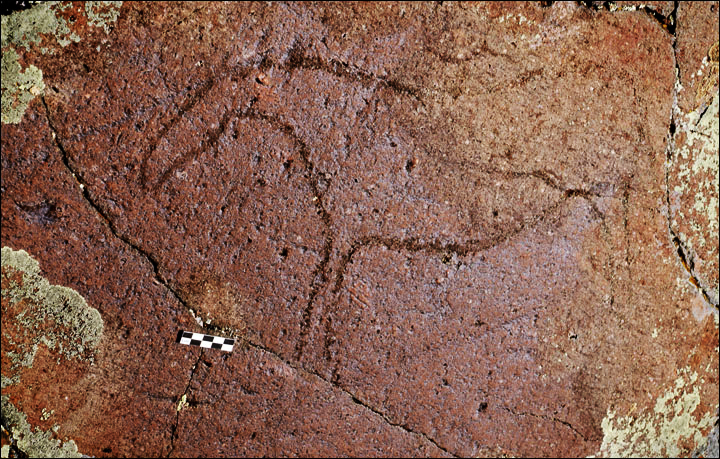 Petroglyphs in the Altai Mountains
