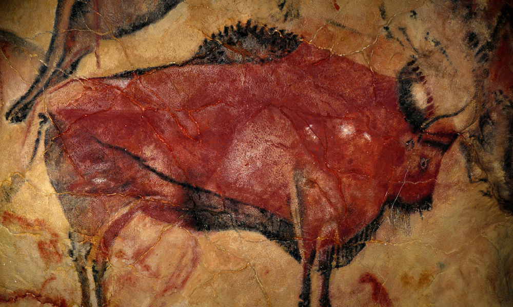 The Bison of Altamira