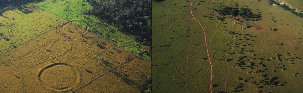 Enclosures discovered in Amazon rainforest
