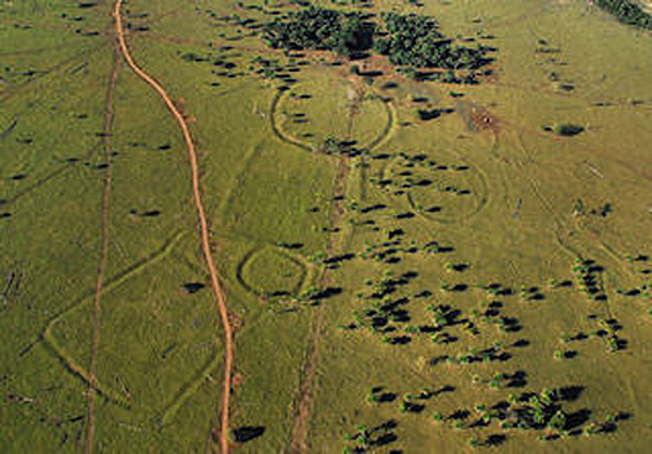 Amazon Basin Brazil Archaeology Structures Ditches