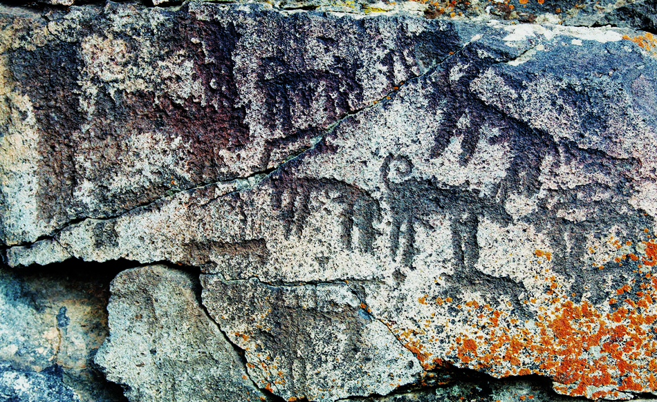 Rock art discovered in Turkey