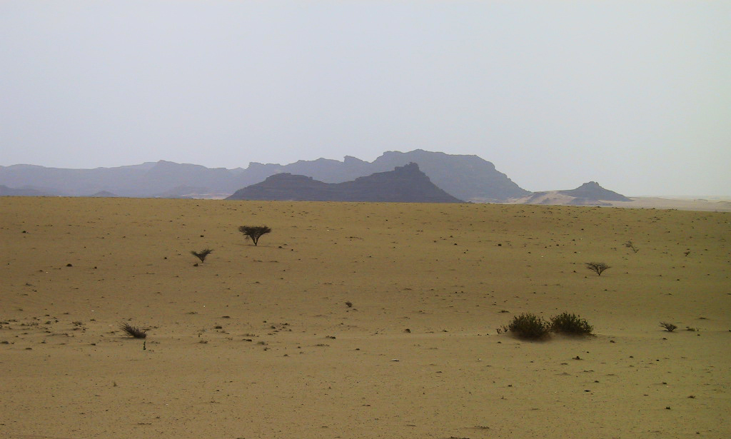 Desert landscape of Saudi Arabia