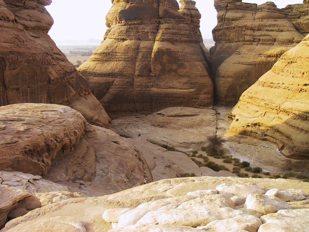 Landscape of Saudi Arabia