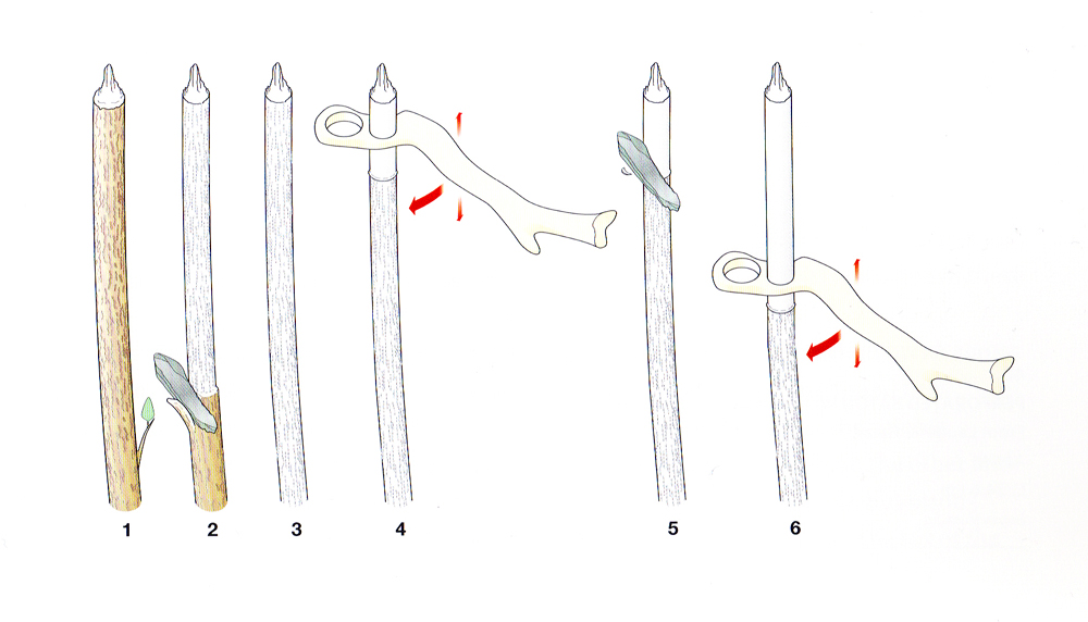 Diagram showing a perforated baton being used as a gauge to make a spear shaft.