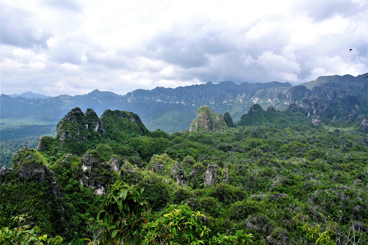 Limestone mountains East Kalimantan Borneo