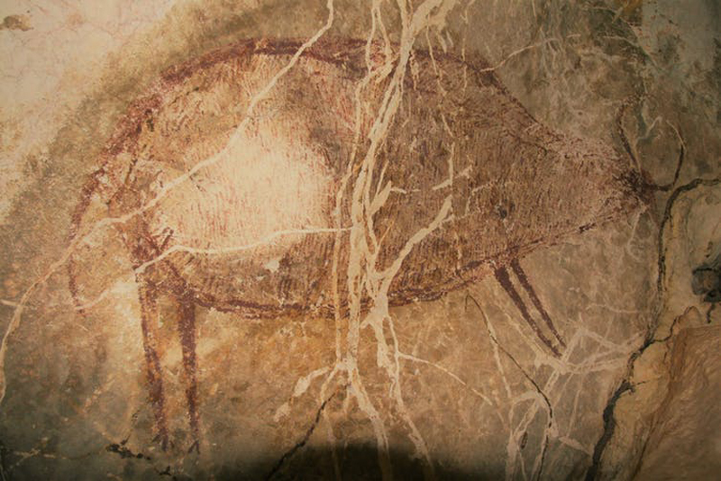 Rock ART painting of a banteng Borneo