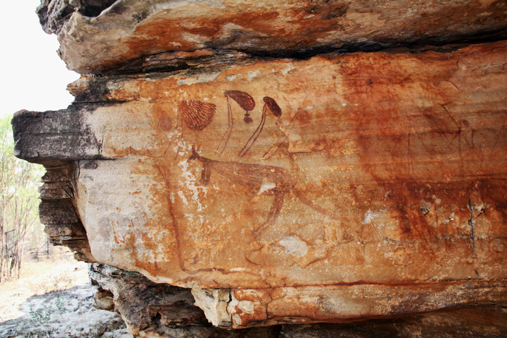 Bradshaw or Gwion Gwion paintings of the Kimberley region of Australia