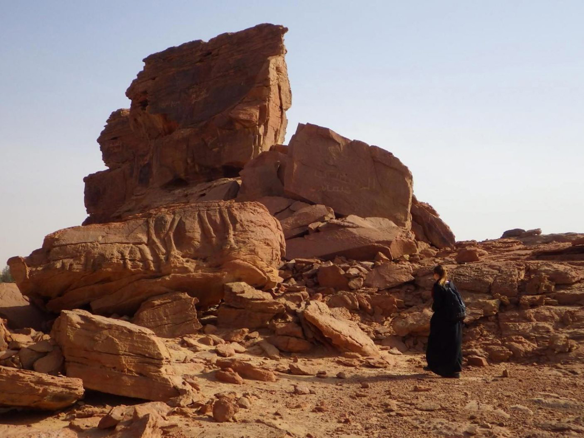 Discovery of life size camel reliefs in Saudi Arabia