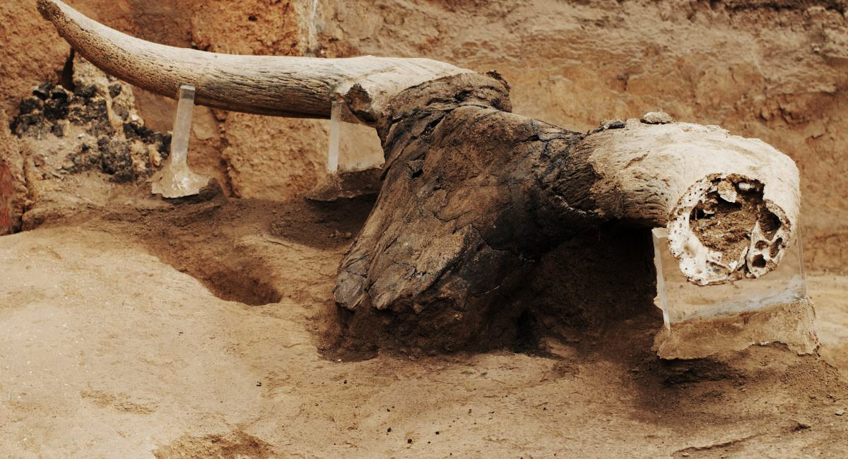 Figurine discovered at Ҫatalhöyük 