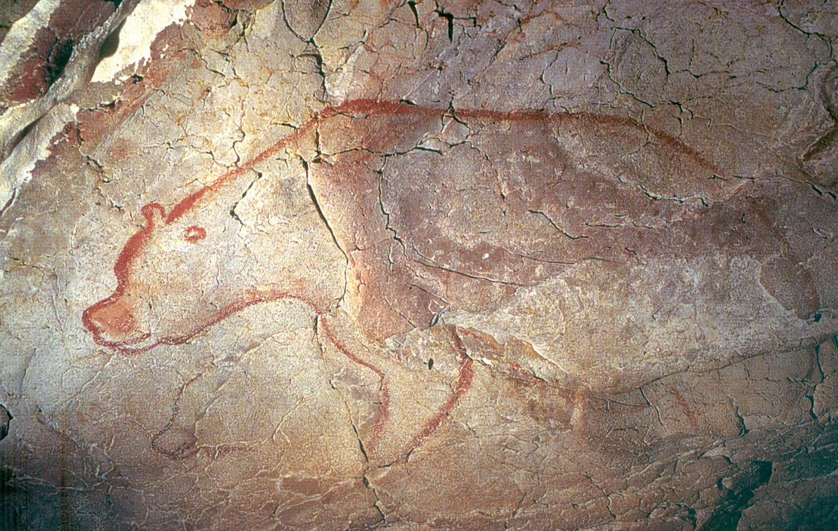 cave bear depiction Chauvet France