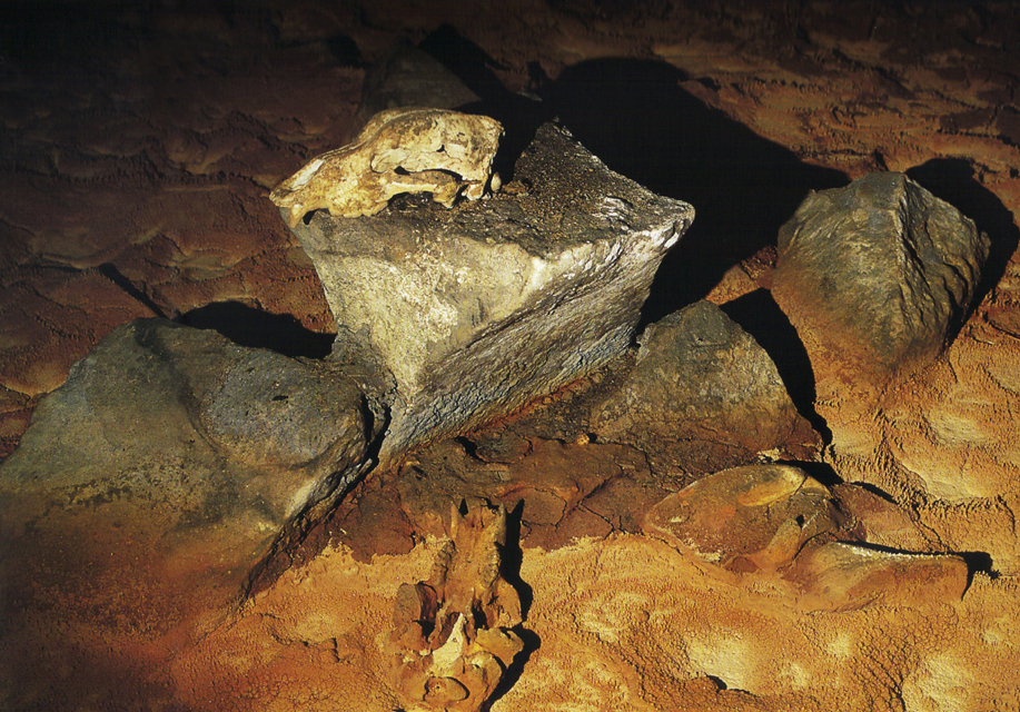 Skull Chamber of Chauvet cave bear France