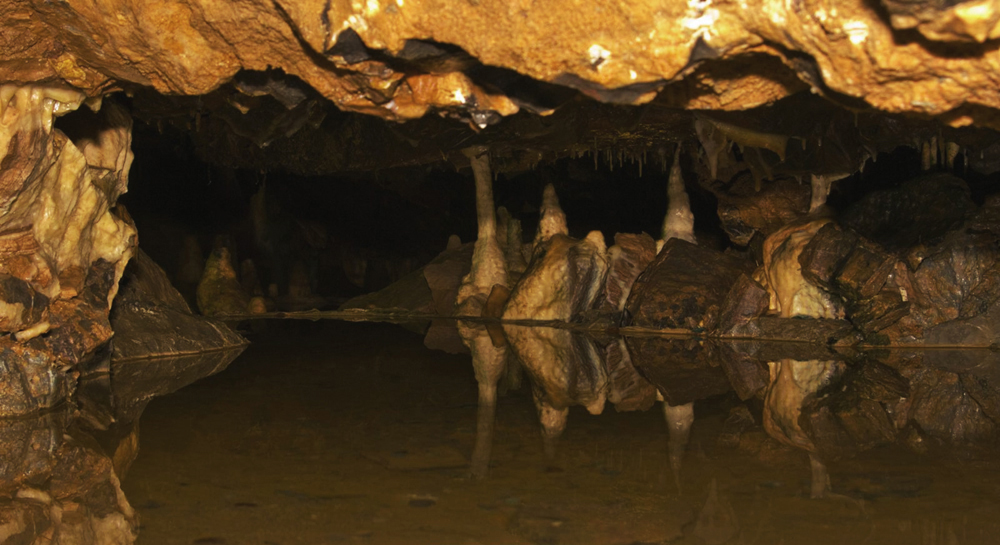 Gough's Cave in the Mendips.