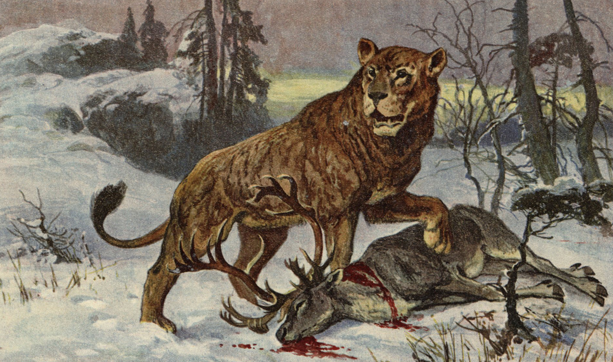 Hunting Ice Age cave lions