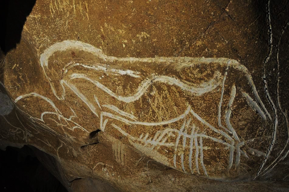 Cave paintings of Chauvet