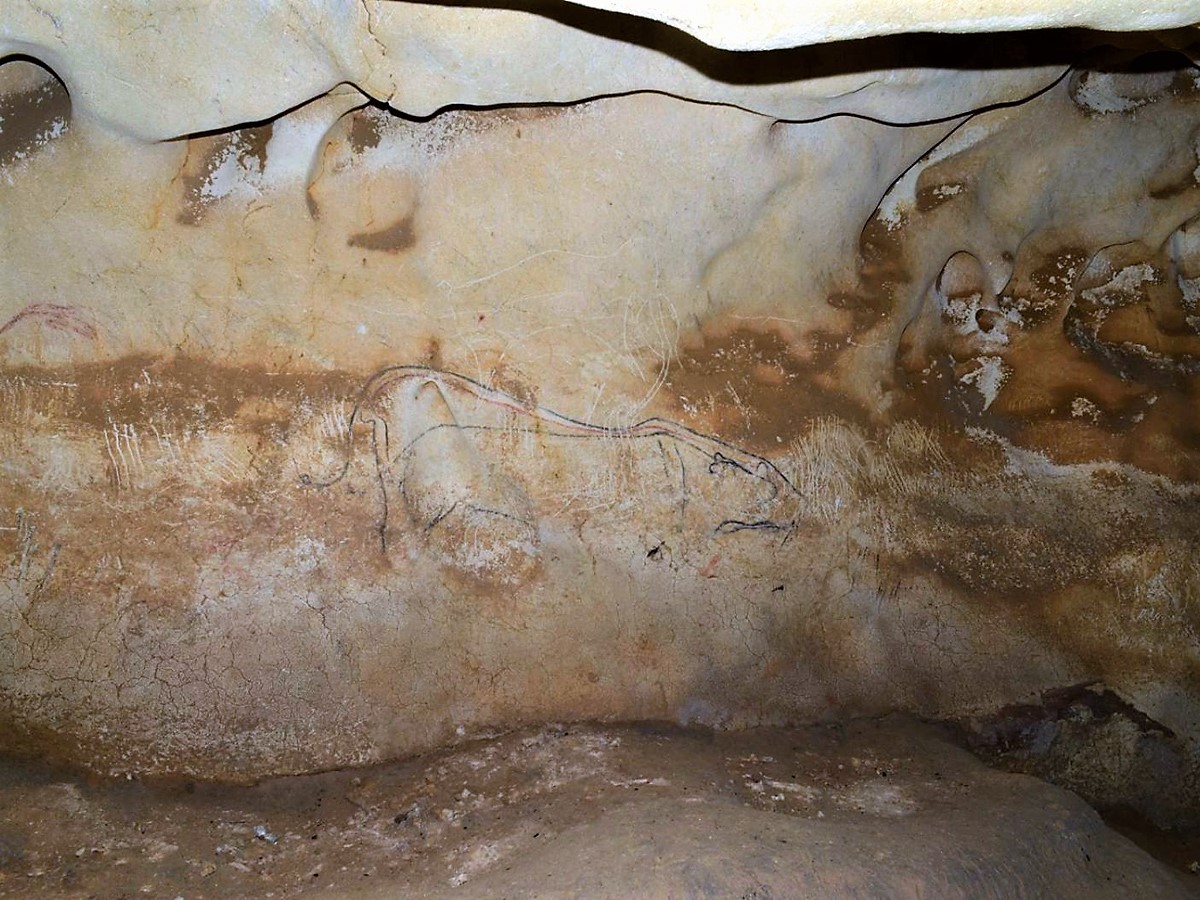 Ice Age Artists at Chauvet Cave Made Charcoal From Pine to Draw