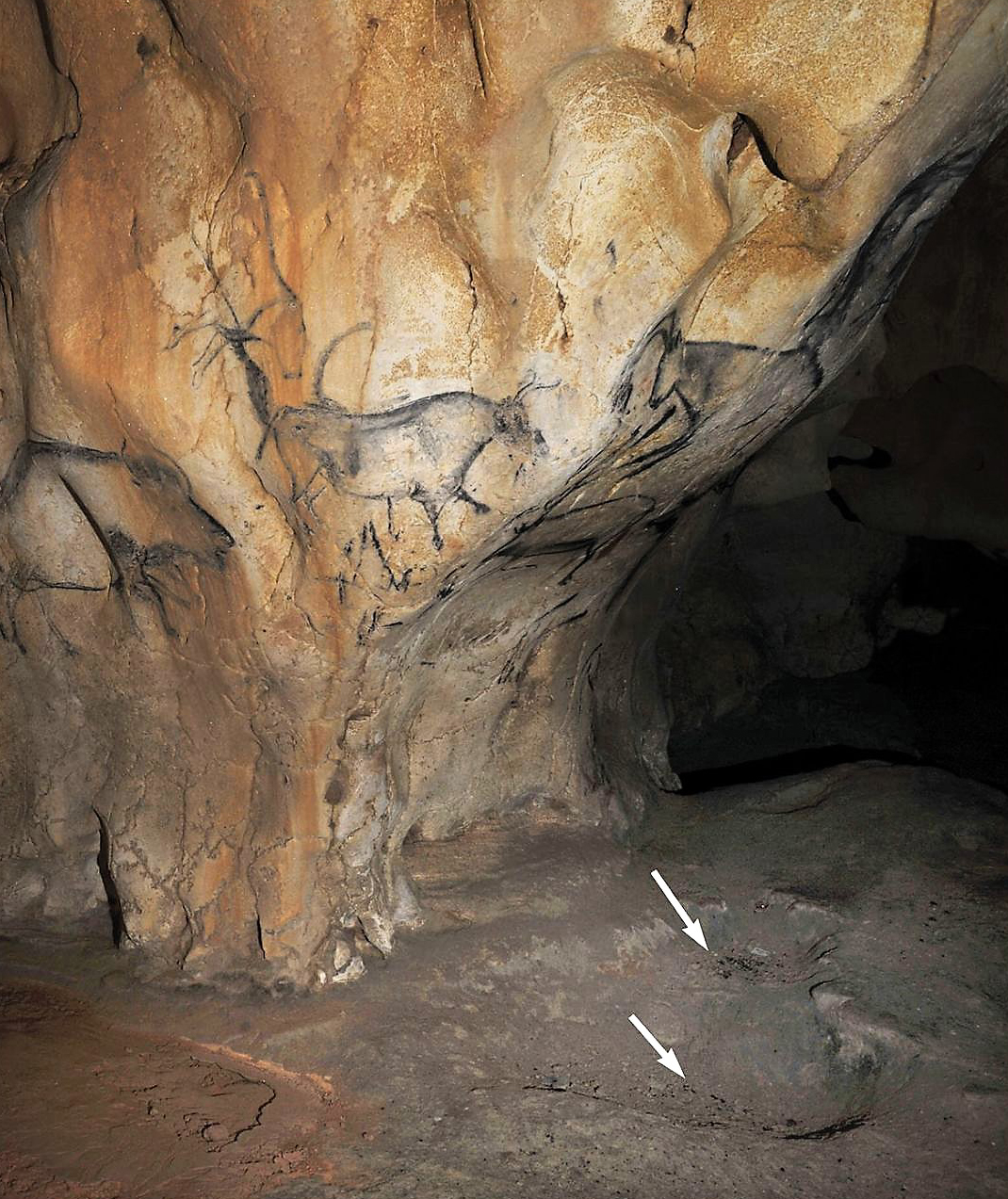 Ice Age Artists at Chauvet Cave Made Charcoal From Pine to Draw