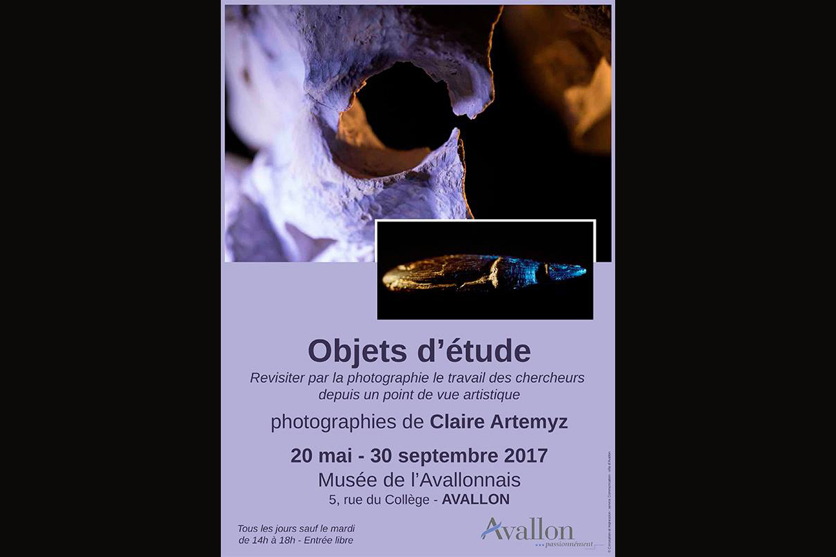 Objets d'étude de Claire Artémyz