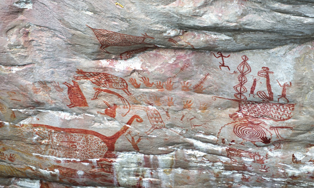 Rock Art discovered in the jungles of Columbia