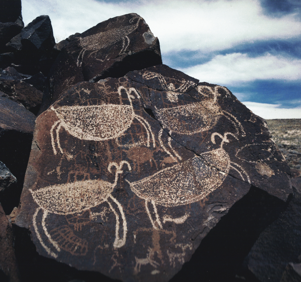 rock art petroglyphs of Coso in North America