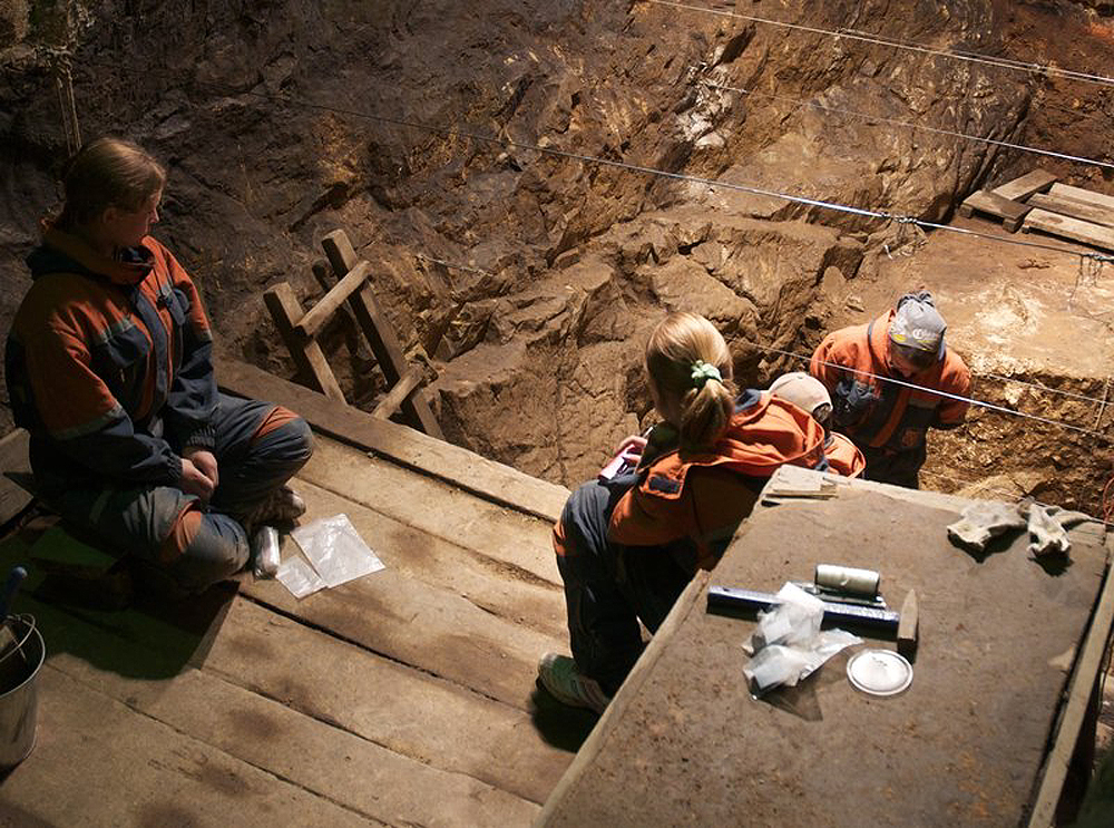 DNA extracted from the Denisova cave