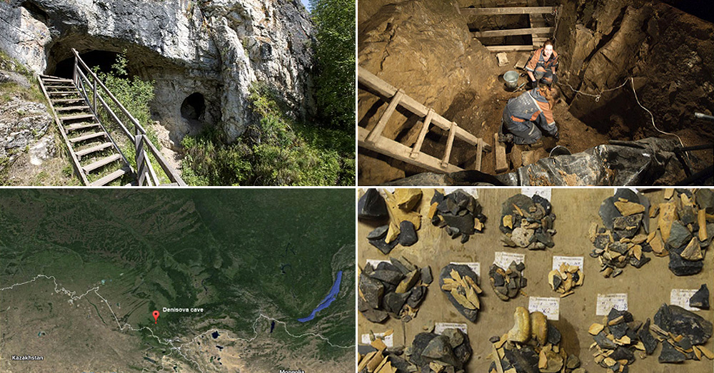 Denisovans helped modern humans survive